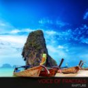 Voice Of Fractals - Flint Of Magic (Original Mix)