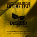 Following Light - Field (Original Mix)
