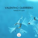 Valentino Guerriero - Shadows (Ercos Blanka Remix)