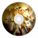 Four Rooms - My Day (Original mix)