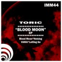 Toric - Helsing (Original Mix)