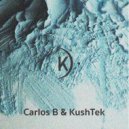 Carlos B, Kushtek - Seeking The Moon (Original Mix)