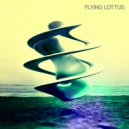 Flying Lottus - Gold Panda