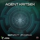 Agent Kritsek - Paceland (Original Mix)