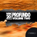Belogurov, DaKooka - Feeling (Original Mix)