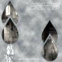 Anton Stellz - Ghosts (Original Mix)