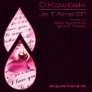 D.Kowalski - Running To The Spring