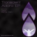 Transcient - Digital Audio Monkeys