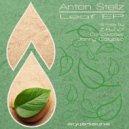 Anton Stellz, Z.Robot - Leaf (Z.Robot\'s Into The Dawn Remix)