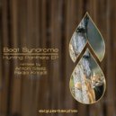 Beat Syndrome, Anton Stellz - Girl On LSD (Anton Stellz Remix)