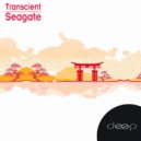 Transcient - Back To Reality