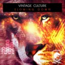 Vintage Culture - Slowing Down (Original Mix)