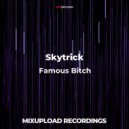 Skytrick - Save The Remedy
