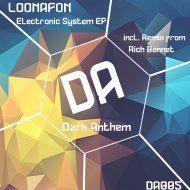 LOONAFON - Electronic System