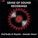 DubTeddy & Hayloft - Melodic Heart (Original mix)
