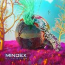 Mindex - At the Fireplace