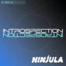 Ninjula - Never