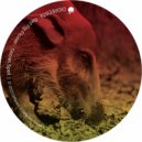 Red Pig Flower - Secret Spell (Artur Nikolaev Remix)