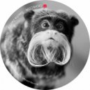 Sascha Zastiral - Resonance