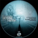 Elektrikall - Working In The Shadow (John Rowe \'S Shaddow Puppet Remix)