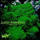 Juan Moreno - Highlights (Original mix)