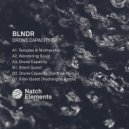 BLNDR - Silent Quest (Hydrangea remix)