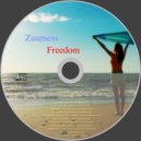 Zaumess - Freedom (org mix)