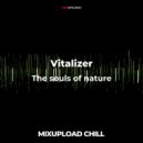 Vitalizer - The souls of nature