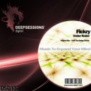 Fickry - Under Water (Undr The Bridge Remix)