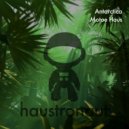 Motoe Haus - Antarctica (Feede Cabrera Remix)