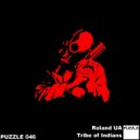Roland UA - Pixels