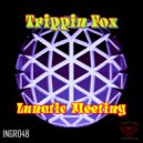 Trippin Fox - Wicked Resolution (Original Mix)
