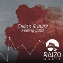 Carlos Suarez - Feeling Good (Original Mix)