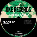 Gabriel Sasso - Plant (Original Mix)
