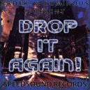 RADEK. & Luminous - Drop it Again!
