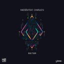 Haesen - Rhythm (Radio Edit)