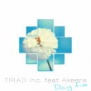 TRIAD inc. & Akeera - Doing Fine (feat. Akeera) (Original Mix)
