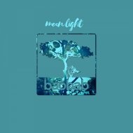 Play & Music - Moon Light