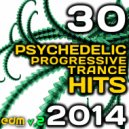 Chemical Content 1 - This Is The Liquid (Ayahuascero Intro Mix)
