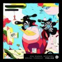 Edu Marks & Hoovers & Bruno Torrezz - Feeling (Original Mix)