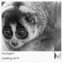 Voyager1 - Looking At ?! (Original Mix)