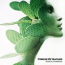 Forces Of Nature - Musical Symbiosis (Original Mix)