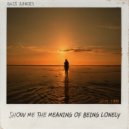 Bass Junkies & Bass Junkies - Show Me The Meaning Of Being Lonely (Moombathon Remix)