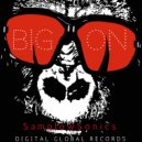 SamplowSonics - Big On