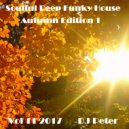 DJ Peter - Soulful Deep Funky House Vol 11 2017