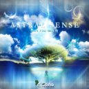 Astral Frequency - Can You See It (Original Mix)