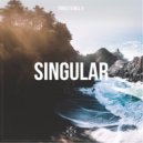 Turkez & WILL B - Singularity