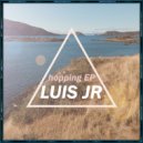 Luis JR - Feelings (Original Mix)