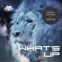 Dark Droid & Daito - What's Up
