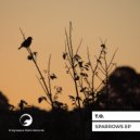 T.O. - Succession (Original Mix)